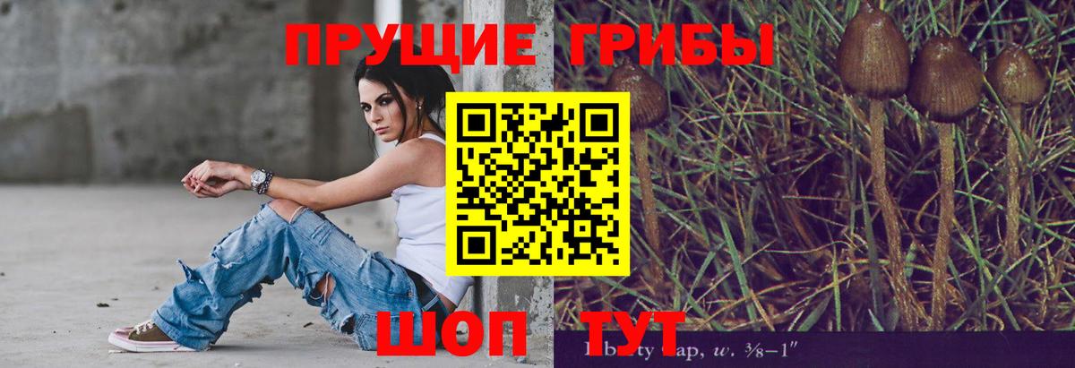 Балаково  Галлюциногенные грибы GOLDEN TEACHER  Вход с VPN 